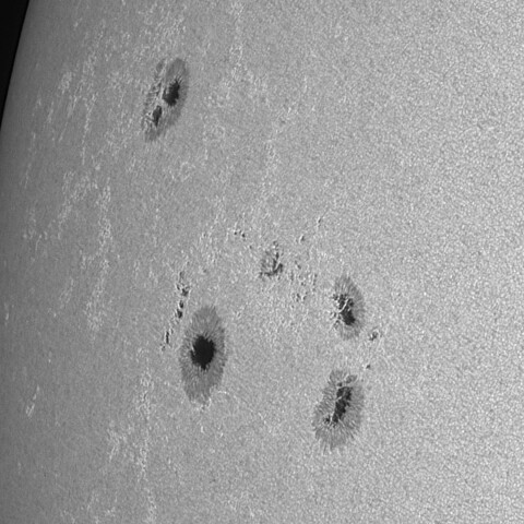 太陽黒点(活動領域13685&13686) 2024/05/18