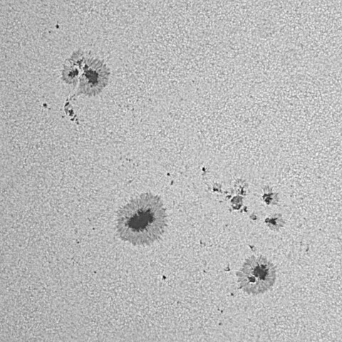 太陽黒点(活動領域13685&13686) 2024/05/21