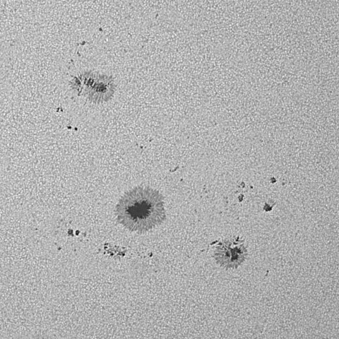 太陽黒点(活動領域13685&13686) 2024/05/24