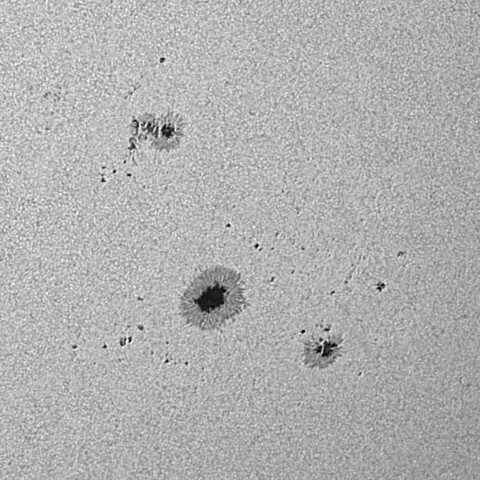 太陽黒点(活動領域13685&13686) 2024/05/25