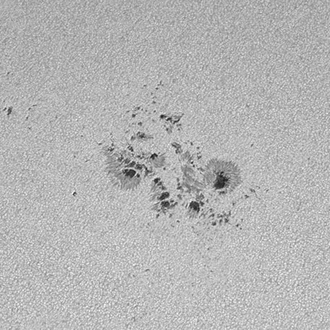 太陽黒点(活動領域13691) 2024/05/30