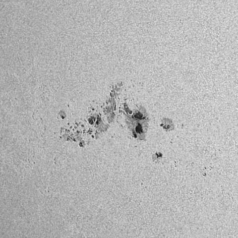 太陽黒点(活動領域13697) 2024/06/01