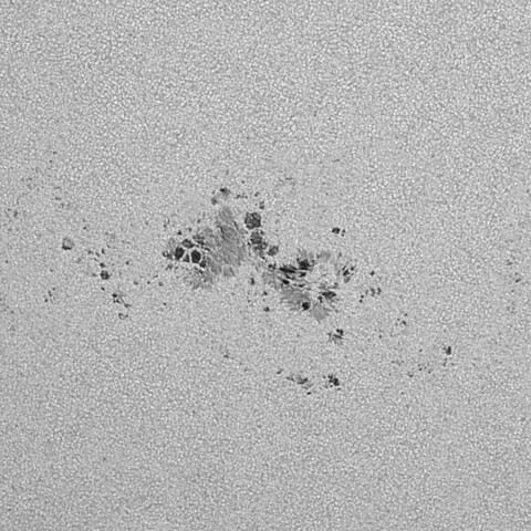 太陽黒点(活動領域13697) 2024/06/03