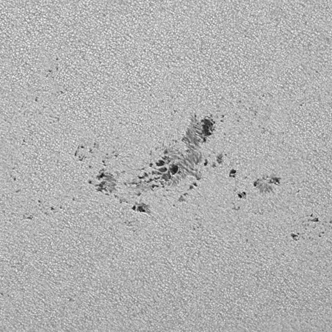 太陽黒点(活動領域13697) 2024/06/05