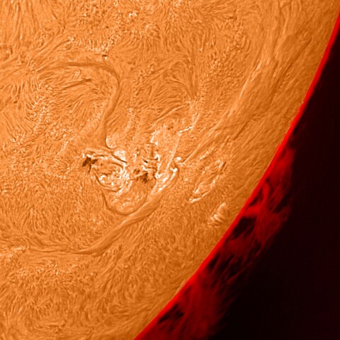 太陽活動領域13697とプロミネンス 2024/06/08