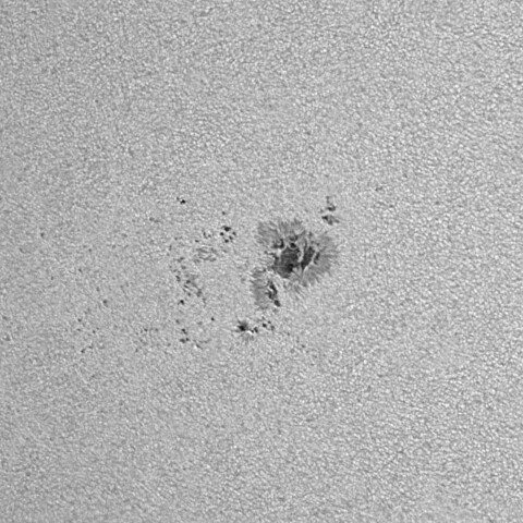 太陽黒点(活動領域13709&13711) 2024/06/11