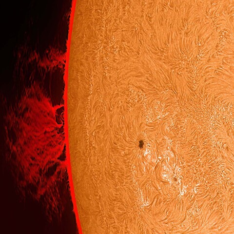 太陽活動領域13713とプロミネンス 2024/06/14
