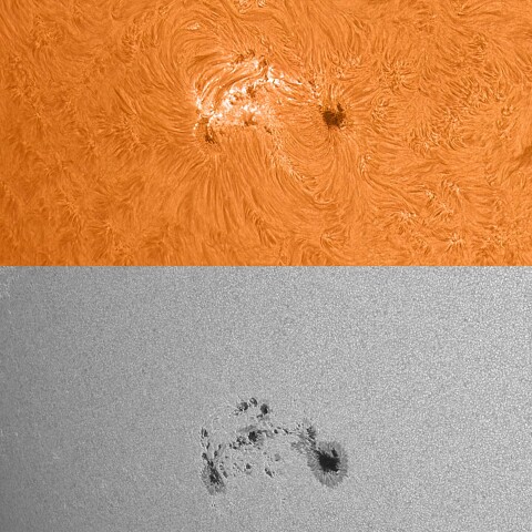 太陽活動領域13712 2024/06/14