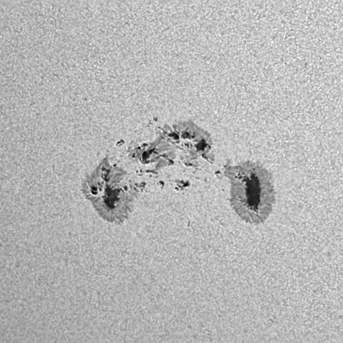 太陽黒点(活動領域13712) 2024/06/15