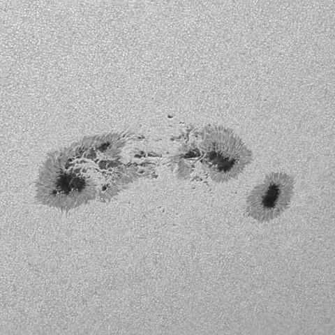 太陽黒点(活動領域13712) 2024/06/19