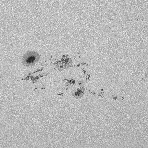 太陽黒点(活動領域13713) 2024/06/19