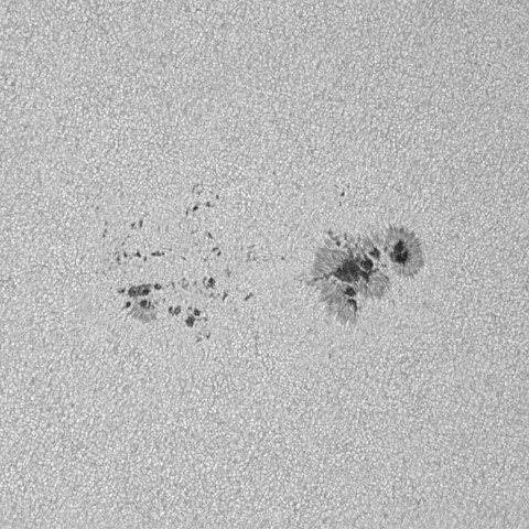 太陽黒点(活動領域13716) 2024/06/19