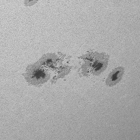 太陽黒点(活動領域13712) 2024/06/20