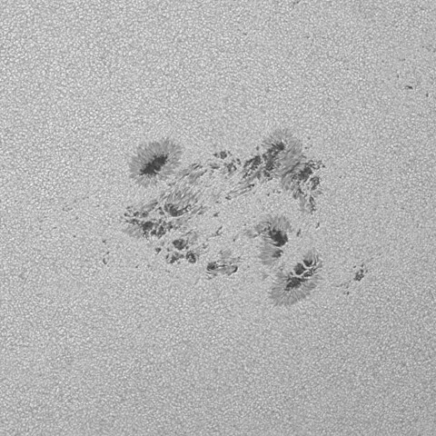 太陽黒点(活動領域13713) 2024/06/20