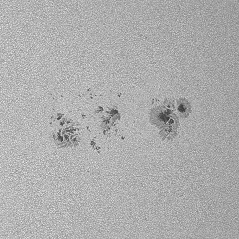 太陽黒点(活動領域13716) 2024/06/20