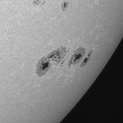 太陽黒点(活動領域13712) 2024/06/22