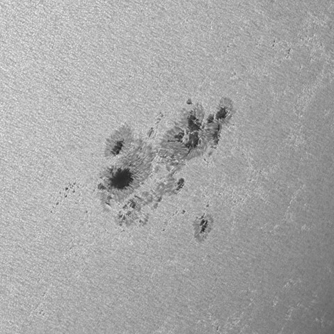 太陽黒点(活動領域13713) 2024/06/22