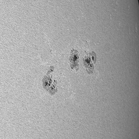 太陽黒点(活動領域13716) 2024/06/22