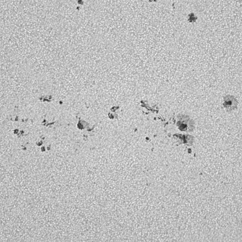 太陽黒点(活動領域13729) 2024/07/02