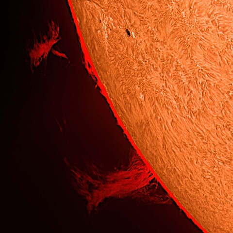 太陽活動領域13736とプロミネンス 2024/07/04