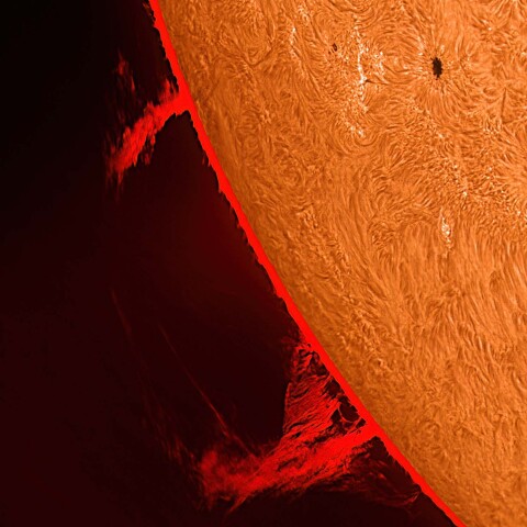 太陽活動領域13736とプロミネンス 2024/07/05
