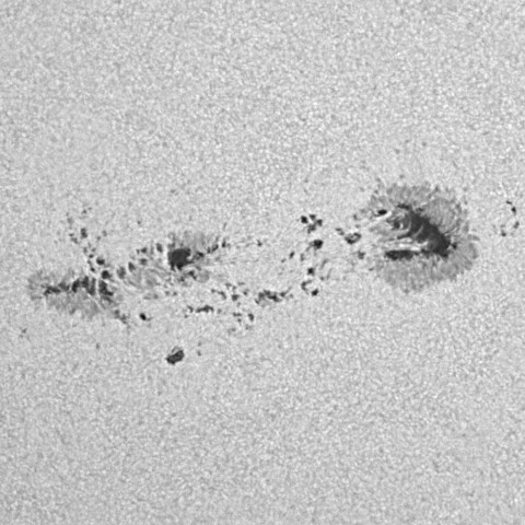 太陽黒点(活動領域13738) 2024/07/10
