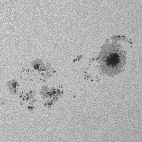 太陽黒点(活動領域13738) 2024/07/13