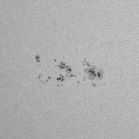 太陽黒点(活動領域13751) 2024/07/18