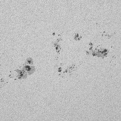 太陽黒点(活動領域13751&13761) 2024/07/21