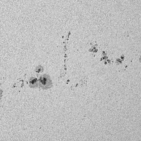 太陽黒点(活動領域13751&13761) 2024/07/22