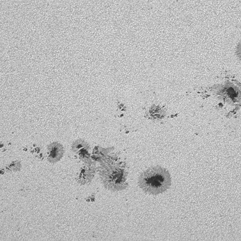 太陽黒点(活動領域13764～13767) 2024/07/29