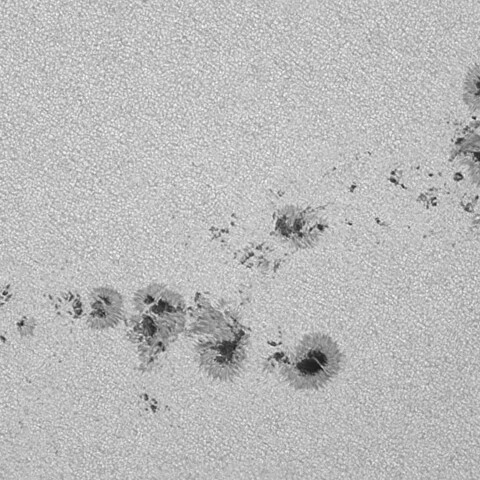 太陽黒点(活動領域13764～13767) 2024/07/30