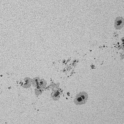 太陽黒点(活動領域13764～13767) 2024/07/31