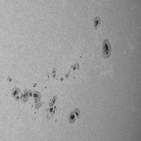 太陽黒点(活動領域13764～13768&13773) 2024/08/02