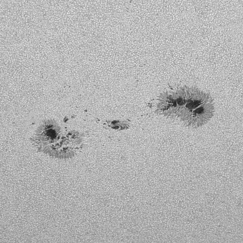 太陽黒点(活動領域13772) 2024/08/04