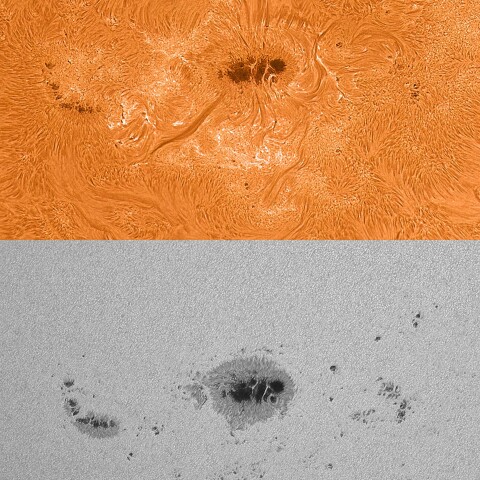 太陽活動領域13780 2024/08/09