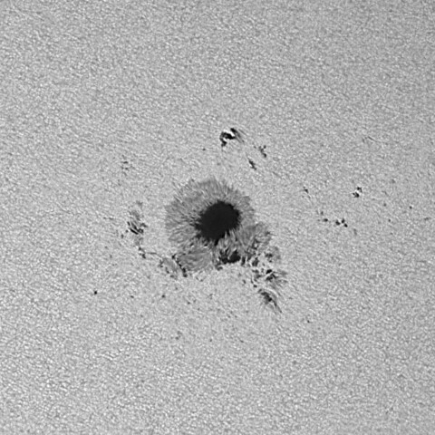 太陽黒点(活動領域13784) 2024/08/17