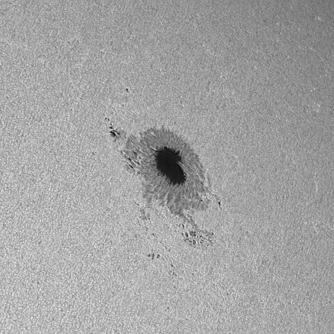 太陽黒点(活動領域13848) 2024/10/12