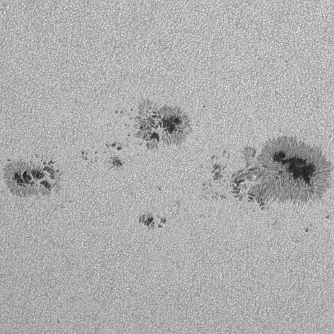 太陽黒点(活動領域13852&13854) 2024/10/12