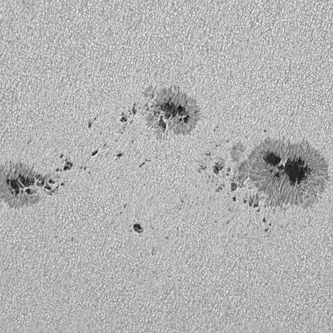 太陽黒点(活動領域13852&13854) 2024/10/13