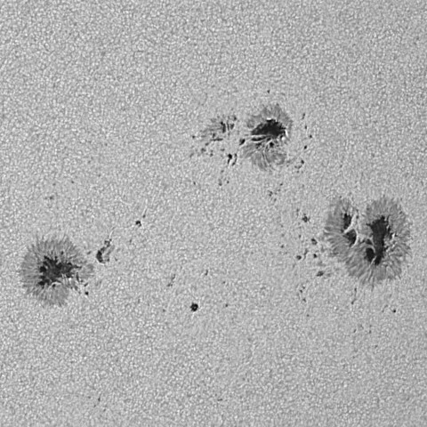 太陽黒点(活動領域13852&13854) 2024/10/15