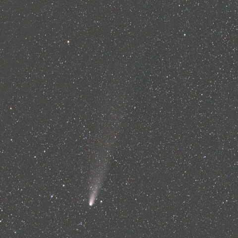 紫金山-アトラス彗星(C/2023 A3) 2024/11/03