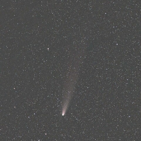 紫金山-アトラス彗星(C/2023 A3) 2024/11/04