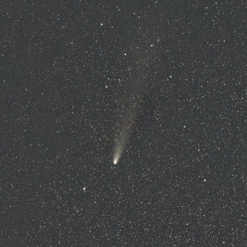 紫金山-アトラス彗星(C/2023 A3) 2024/11/07