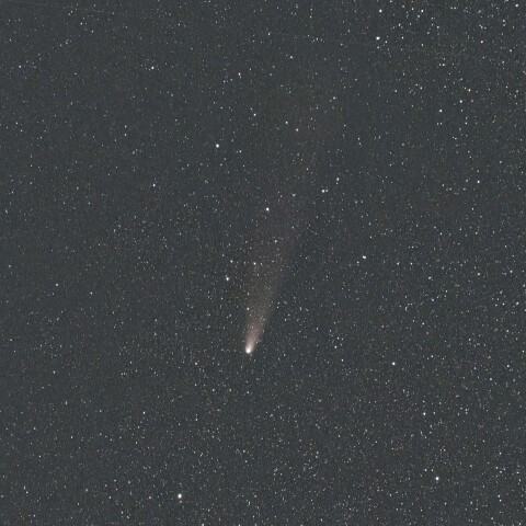 紫金山-アトラス彗星(C/2023 A3) 2024/11/08