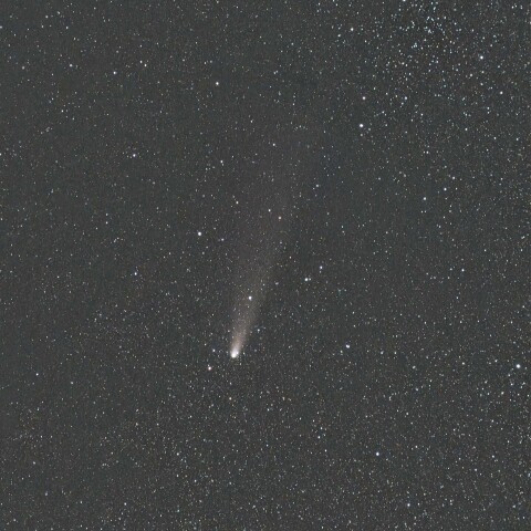 紫金山-アトラス彗星(C/2023 A3) 2024/11/09