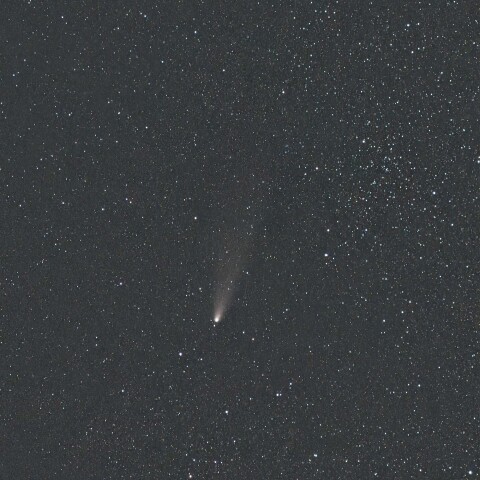 紫金山-アトラス彗星(C/2023 A3) 2024/11/11