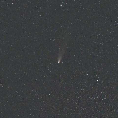 紫金山-アトラス彗星(C/2023 A3) 2024/11/18