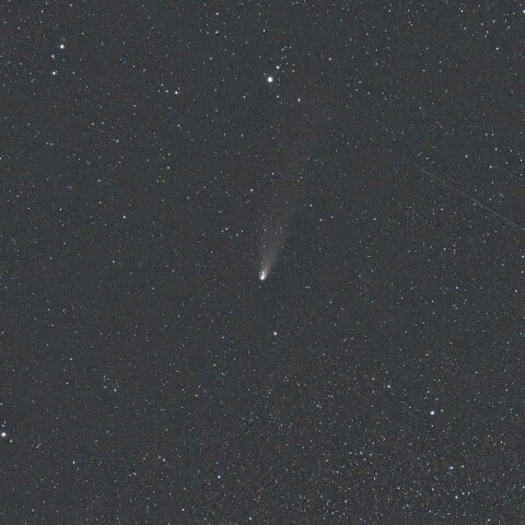 紫金山-アトラス彗星(C/2023 A3) 2024/11/19