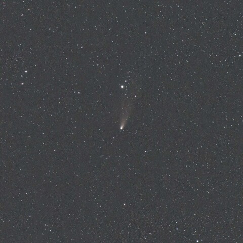 紫金山-アトラス彗星(C/2023 A3) 2024/11/21